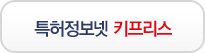 특허정보넷 서비스